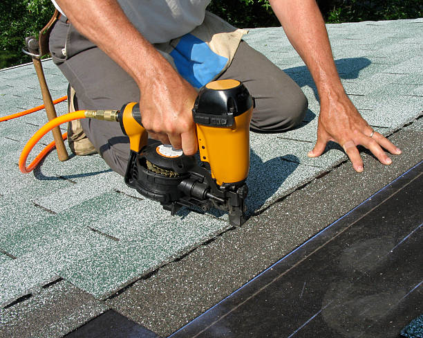 Best Metal Roofing Contractor  in Shell Rock, IA