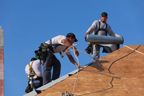 Professional Roofing Contractor in Shell Rock, IA